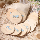 Ylsteed 12Pcs 1-12 Month Newborn Monthly Milestone Wooden Cards Dics Baby Keepsakes Newborn Photo Props