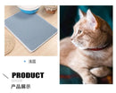 PurrClean Mat