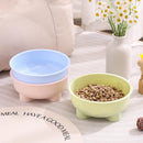 PataFirme™ Inox Bowl
