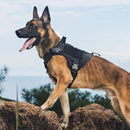 K9 Armor™ Control Pro